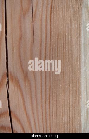 Baumringe auf einem Kiefernbrett. Nahaufnahme mit Holzstruktur. Holzhintergrund im Stil von frisch gekautem Holz. Stockfoto