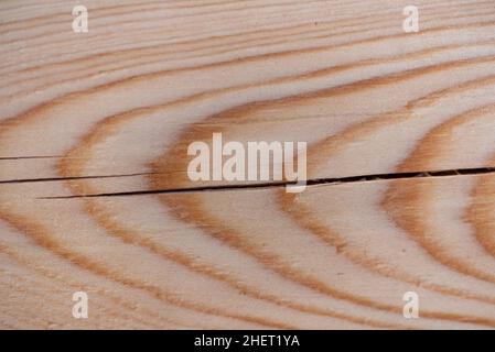 Baumringe auf einem Kiefernbrett. Nahaufnahme mit Holzstruktur. Holzhintergrund im Stil von frisch gekautem Holz. Stockfoto