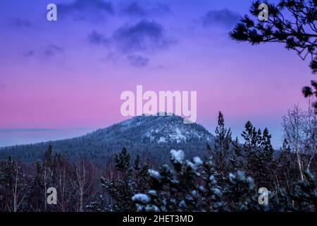 Schneebedeckter Nadelwald und Berg im abendlichen Winterlicht Stockfoto