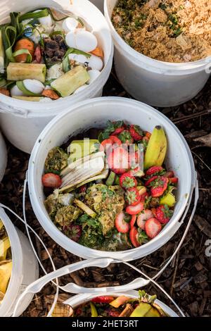 Lebensmittelabfälle aus lokalen Restaurants werden als Hühnerfutter für eine städtische Farm verwendet. Stockfoto