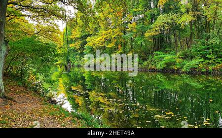 Herbstlandschaft mit bunten Bäumen entlang der Elde in Mecklenburg Stockfoto