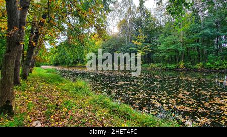 Herbstlandschaft mit bunten Bäumen entlang der Elde in Mecklenburg Stockfoto