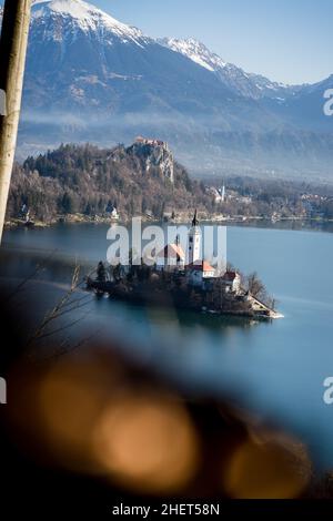 Das Panorama des Sees blutete während des Sonnenaufgangs. Lake bled Castle im Hintergrund. Stockfoto