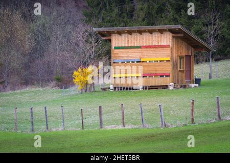 Bienenhaus aus Holz auf der Wiese neben dem Wald Stockfoto