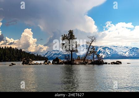 Eine kleine Insel mit einem Baum in Lake Tahoe mit Wolken und schneebedeckten Bergen in der Sierra Gebirgskette in Kalifornien und Nevada USA Stockfoto