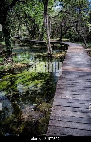 Holzbrückenweg durch einen Dschungel, Nationalpark Krka, Kroatien Stockfoto