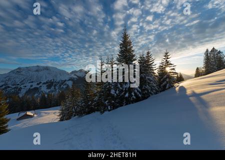 Sonnenuntergang in den österreichischen alpen mit letzten Sonnenstrahlen durch Bäume im Winter Stockfoto