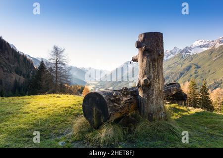 Holzbrunnen für Kühe mit Herbsttal in den alpen Stockfoto