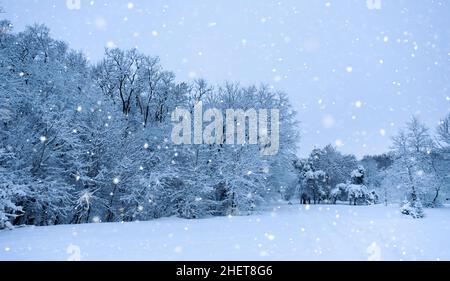 Wunderschöne Winterlandschaft mit verschneiten Bäumen und blauem Himmel. Kalter frostiger Tag im Stret Stockfoto
