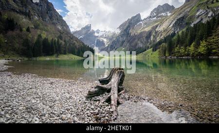 Seealpsee mit den Schweizer Alpen im Hintergrund, Appenzeller Land, Schweiz Stockfoto