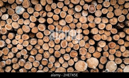 In einem Lagerhof gelagerte Holzstämme in kreisförmigem Muster schneiden. Diese Holzstapel werden gehackt und gespeichert, um im Winter in einem Ofen zu verbrennen. Stockfoto