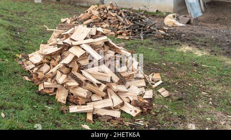 In einem Lagerhof gelagerte Holzstämme Diese Holzstapel werden gehackt und gespeichert, um im Winter in einem Ofen zu verbrennen. Stockfoto