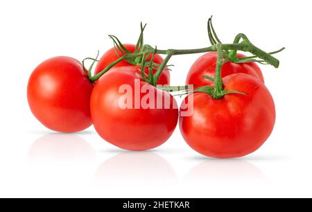 Rote Tomaten auf Zweig auf weißem Hintergrund isoliert mit Schnittpfad. Stockfoto