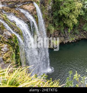 Whangarei Falls liegt im Whangarei Scenic Reserve am Hatea River in New Zealand Stockfoto
