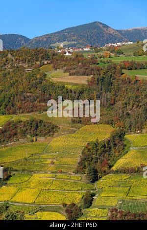 Luftaufnahme der Weinberge des Brennerpasses, Italien, Europa Stockfoto