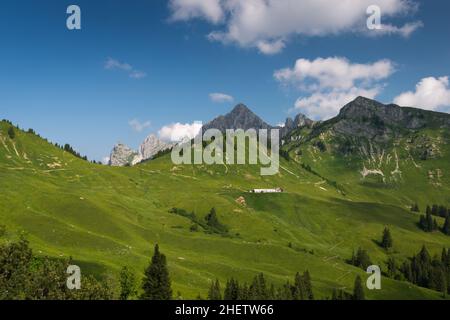 alpine Hütte an schönen grünen Bergkette im Sommer Stockfoto