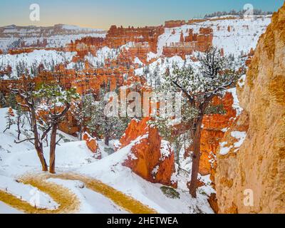Bryce Canyon im Winter mit Schnee Stockfoto
