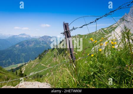 Stacheldrahtzaun in grüner Berglandschaft Stockfoto