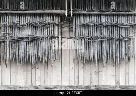 Holzregale zum Trocknen von Heu, an der Wand der Hütte hängendes Gras Stockfoto