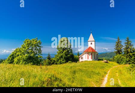 Kleine weiße Kirche in slowenischer Landschaft inmitten üppiger grüner Sommerlandschaft und blauem Himmel Stockfoto