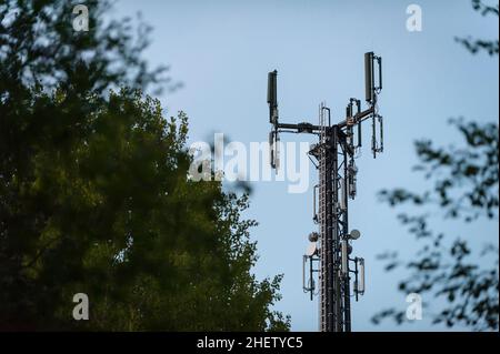 Riesiger Telekommunikationsmast inmitten von Bäumen und Himmel Stockfoto