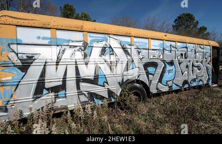 Alto, Georgia, USA. 12th Januar 2022. Der Schulbus-Friedhof auf dem Gelände des Auto Parts & Wrecker Service von Alonzo Wade ist ein Kreis von demisionierten Schulbussen, die als Leinwand für lokale Künstler und als Zaun für das Unternehmen dienen. Die Kunst wird fast jährlich verändert.(Bildquelle: © Brian Cahn/ZUMA Press Wire) Stockfoto