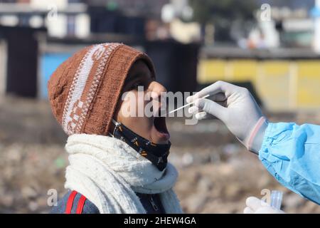 12. Januar 2022, Poonch, Jammu und Kashmir, Indien: Ein Gesundheitsmitarbeiter sammelt in Mendhar eine Abstrichprobe eines Kindes für den Covid-19-Test. Indien berichtet über 1 94.720 neue COVID-Fälle, 60.405 Erholungen und 442 Todesfälle in den letzten 24 Stunden. (Bild: © Nazim Ali KhanZUMA Press Wire) Stockfoto