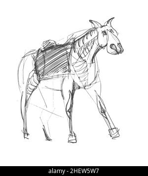 Eine schnelle Bleistiftskizze eines Halbturn-Pferdes auf weißem Papier. Feine Freihandzeichnung in minimalistischem Stil. Moderne monochrome kreative Vektorgrafik Stock Vektor