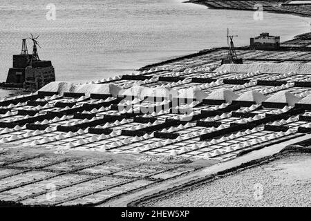 Salz Pfähle auf einer Kochsalzlösung Exploration in Janubio Lanzarote Stockfoto