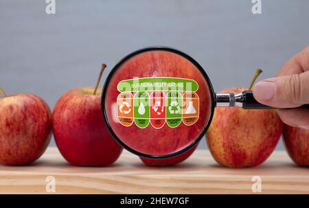 Nachhaltiges Rating-Label auf Apfel durch Lupe vergrößert, Umweltauswirkungen des Lebensmittelkunden-Nachhaltigkeitslabels auf Lebensmittel Stockfoto