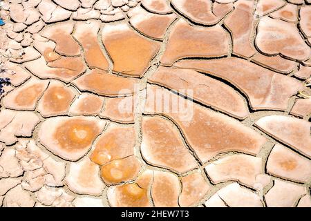 Große Schlammrisse und getrocknete Schlammfliesen in der Wüste des Death Valley Stockfoto