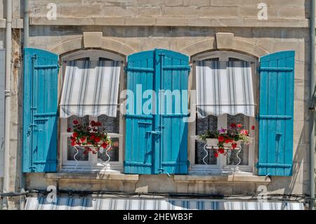 Fensterläden und Topfpflanzen sorgen für ein farbenfrohes Display. Stockfoto