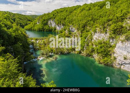 Untere Seen im Nationalpark Plitvicer Seen, Kroatien Stockfoto