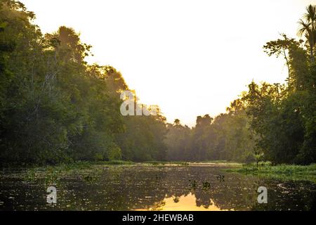 Sonnenuntergang am Orinoco-Fluss in Venezuela im Dschungel Stockfoto