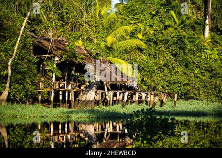 Tropische Hütte im Regenwald-Dschungel mit Palmen am Flussdelta Stockfoto