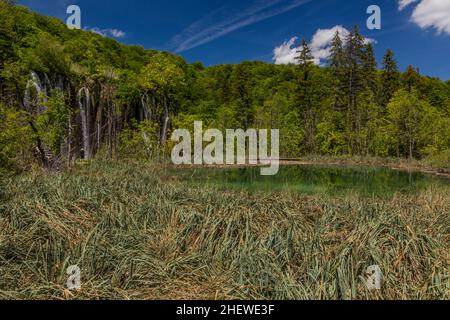 Wasserfall Mali Prstavac im Nationalpark Plitvicer Seen, Kroatien Stockfoto