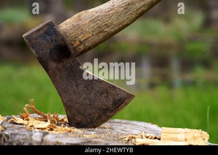 Alte rostige Axt mit Holzgriff in den Baumstumpf geklebt. Verschwommener Hintergrund mit Haufen von Holzstämmen, große Axt ragt in gefälltem Holz Hintergrund Stockfoto