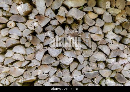 Hintergrund des gehefteten Brennholzes, das im Wald trocknet Stockfoto