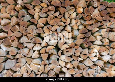 Hintergrund des gehefteten Brennholzes, das im Wald trocknet Stockfoto