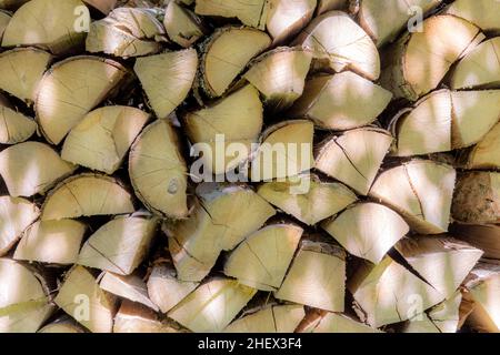 Hintergrund des gehefteten Brennholzes, das im Wald trocknet Stockfoto