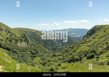 Panoramablick auf den Gipfel le Hoheneck auf der Haute du crete im elsass in Frankreich Stockfoto