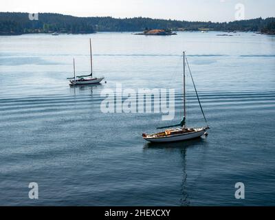 WA21099-00...WASHINGTON - Segelboote liegen in einer kleinen Bucht in der Nähe des Orcas Village auf der Insel Orcas; eine der San Juan Islands Gruppe. Stockfoto