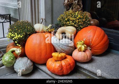Herbstdekoration von bunten Kürbissen an der Eingangstür Stockfoto