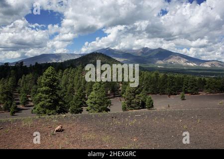 Blick auf das San Francisco Volcanic Field und den Humphreys Peak vom Wanderweg des Lenox Crater Stockfoto