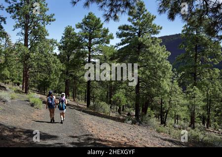 Zwei weibliche Wanderer gehen auf dem Lenox Crater Wanderweg im Sunset Crater Volcano National Monument, Arizona, USA Stockfoto