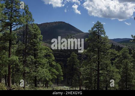 Blick auf den Sunset Crater, einen Vulkan-Schlackenkegel im San Francisco-Vulkanfeld nördlich von Flagstaff, AZ, USA Stockfoto