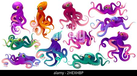 Niedliche Farboktopusse, Meerestiere mit Tentakeln. Vektor-Cartoon-Set von Ozean-Wirbellosen, Meerestieren, Tintenfisch oder kraken mit Saugern auf den Händen. Lustige Oktopusse auf weißem Hintergrund isoliert Stock Vektor