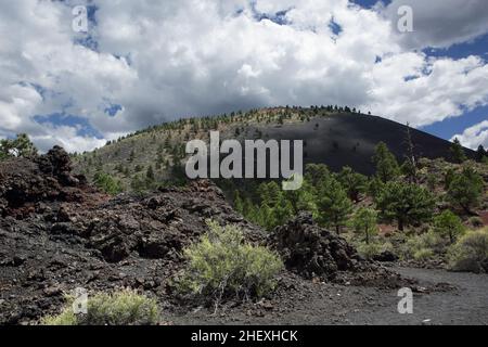 Blick auf den Gipfel des Sunset Crater, einem Vulkankegel im San Francisco Vulkanfeld nördlich von Flagstaff, AZ Stockfoto