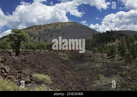 Blick auf den Gipfel des Sunset Crater, einem Vulkankegel im San Francisco Vulkanfeld nördlich von Flagstaff, AZ Stockfoto