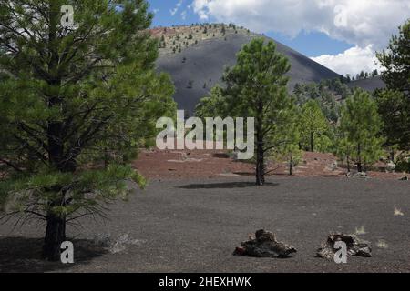 Blick auf den Gipfel des Sunset Crater, einem Vulkankegel im San Francisco Vulkanfeld nördlich von Flagstaff, AZ Stockfoto